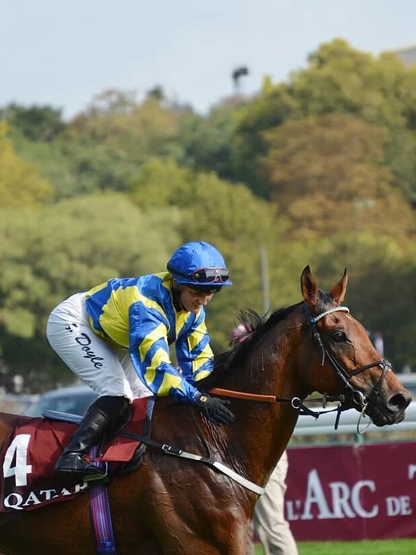 Hollie Doyle horse racing athlete endorsement and sports marketing partnership opportunities - World Sports Advertising