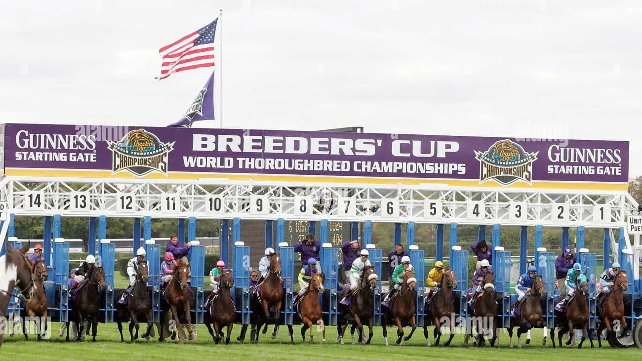 Breeders' Cup horse racing championship with trackside sports advertising and hospitality - World Sports Advertising