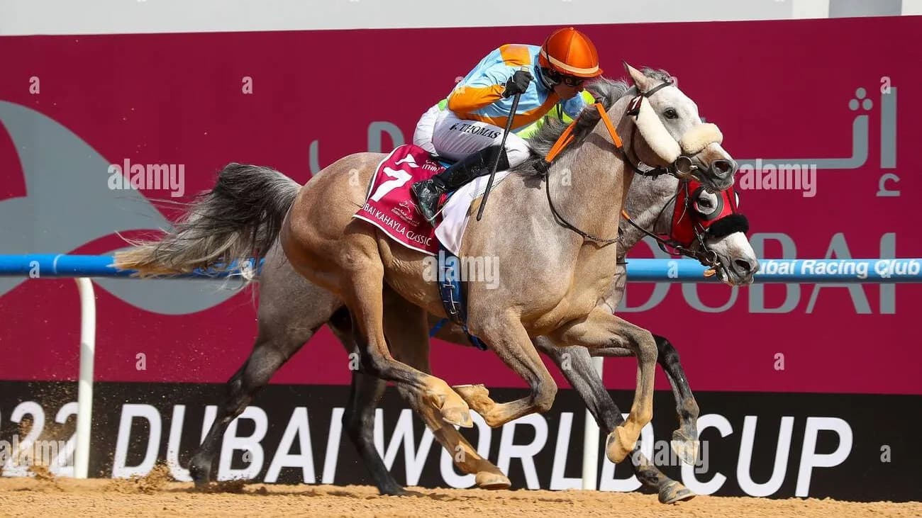 Dubai World Cup horse racing with international trackside sports sponsorship branding - World Sports Advertising
