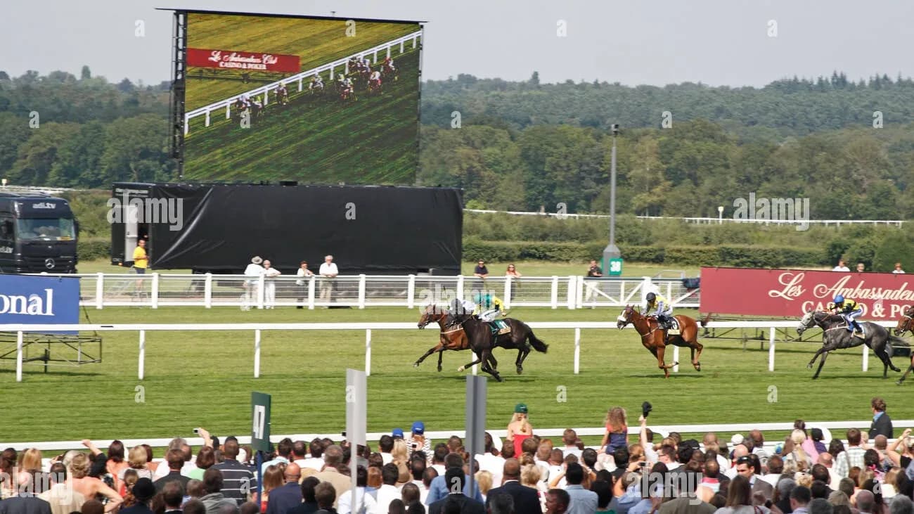Royal Ascot racing festival with luxury sports sponsorship and trackside brand advertising - World Sports Advertising